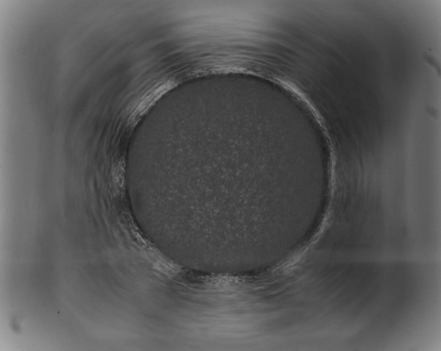 X0000099930785200806061453