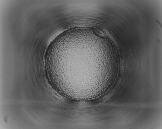 X0000099930787200806061453