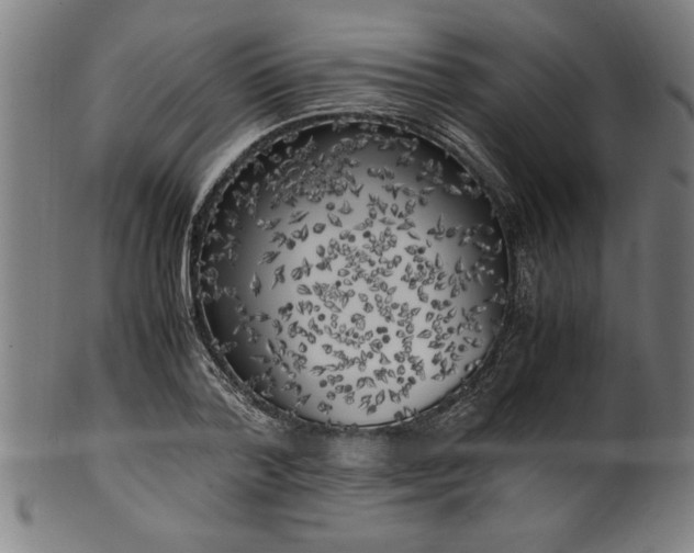 X0000099930788200806061453