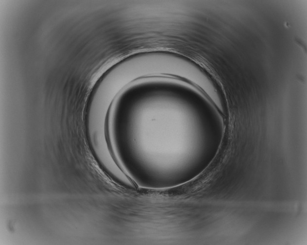 X0000099930789200806061453