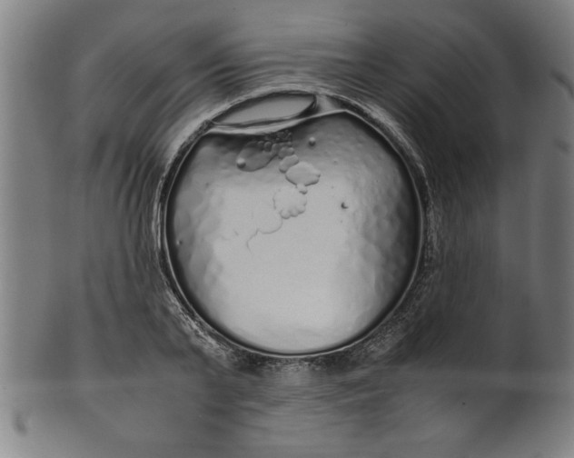 X0000099930791200806061453