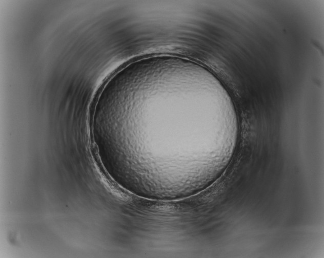 X0000099930792200806061453