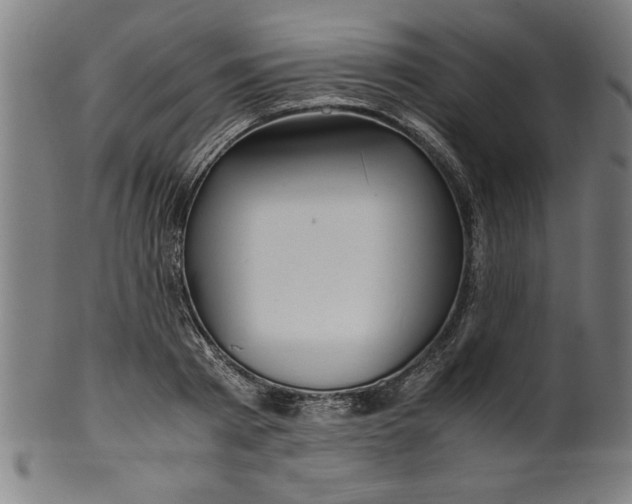 X0000099930793200806061453