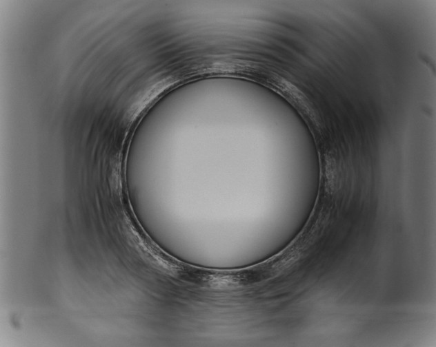 X0000099930794200806061453