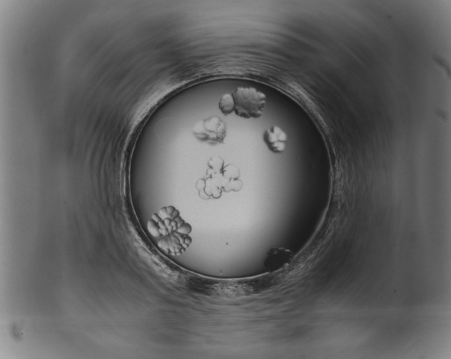 X0000099930795200806061453