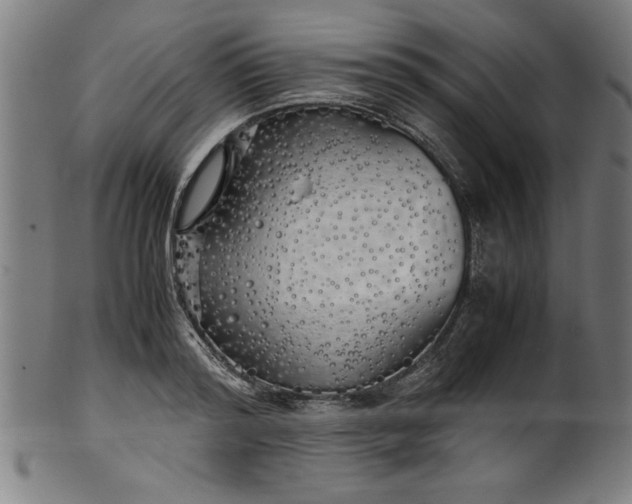 X0000099930796200806061453