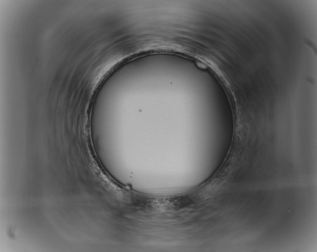 X0000099930799200806061453