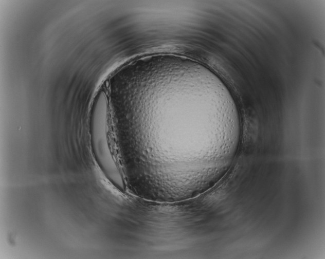 X0000099930800200806061453