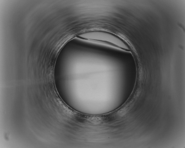 X0000099930801200806061453