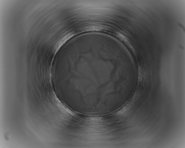 X0000099930802200806061453