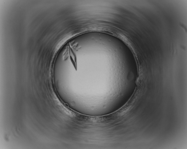 X0000099930803200806061453