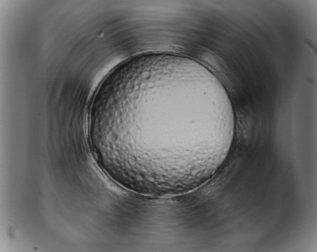 X0000099930804200806061453