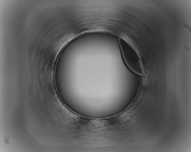 X0000099930805200806061453