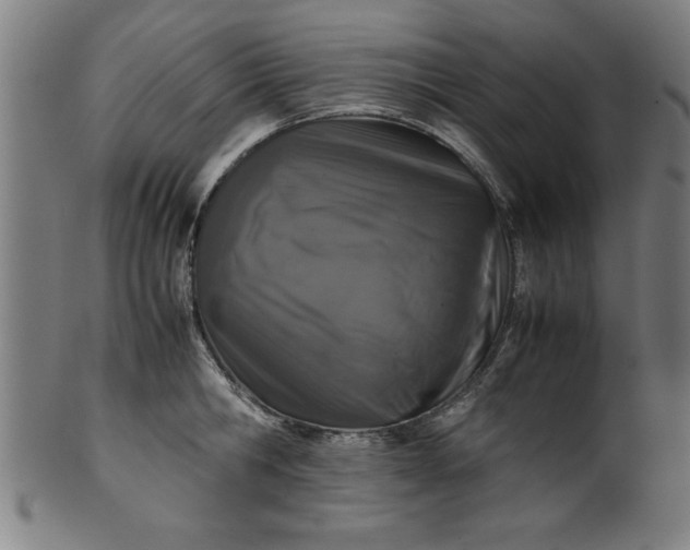 X0000099930806200806061453