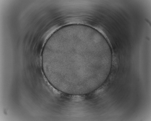 X0000099930807200806061453