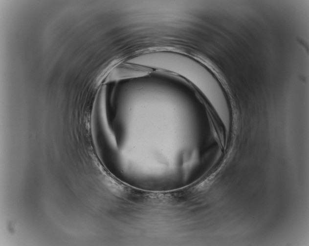 X0000099930809200806061453