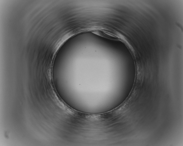 X0000099930810200806061453