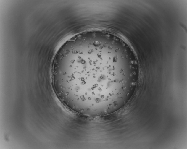 X0000099930811200806061453