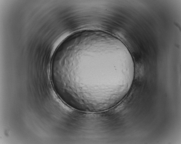 X0000099930812200806061453