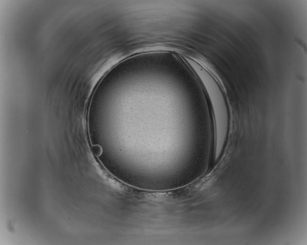 X0000099930813200806061453