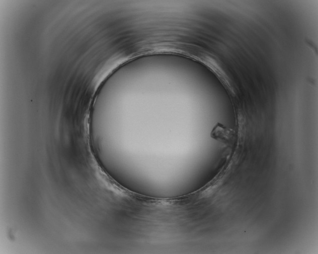 X0000099930814200806061453