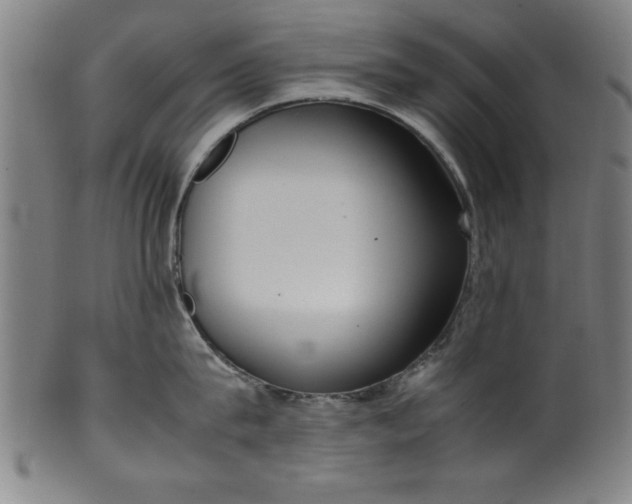 X0000099930815200806061453