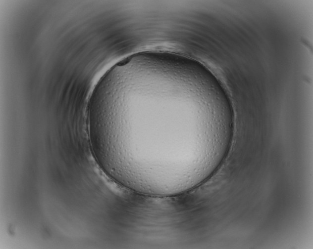 X0000099930816200806061453