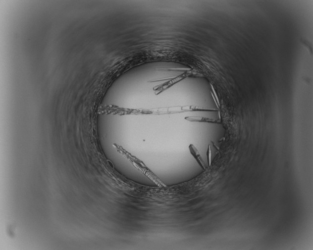 X0000099930817200806061452