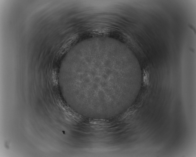 X0000099930819200806061452