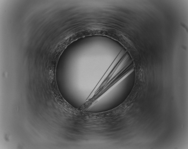 X0000099930821200806061452