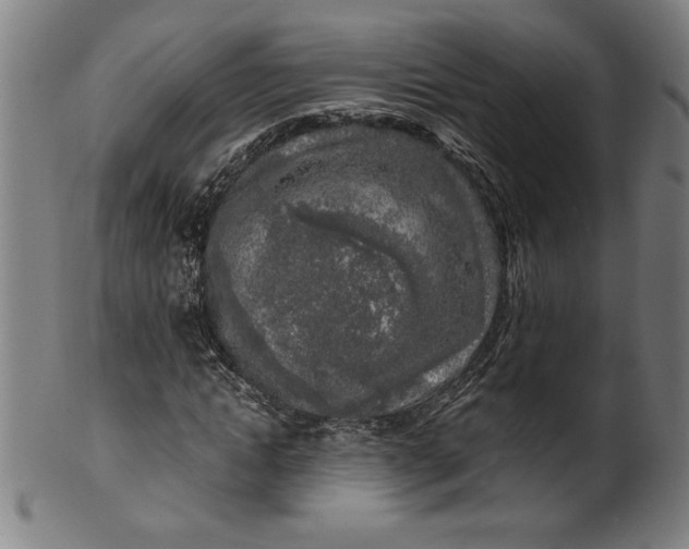 X0000099930822200806061452