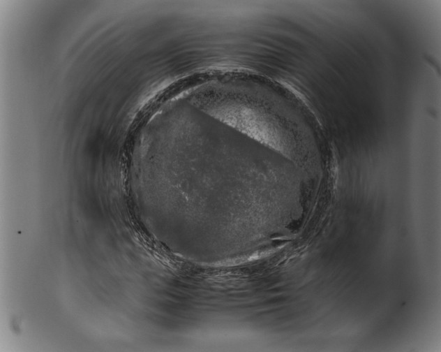 X0000099930823200806061452