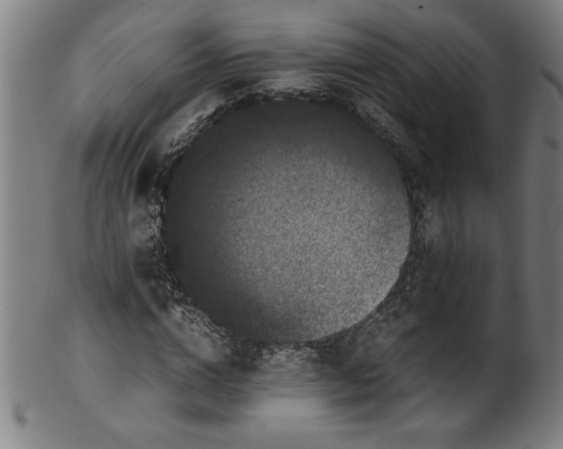 X0000099930824200806061452