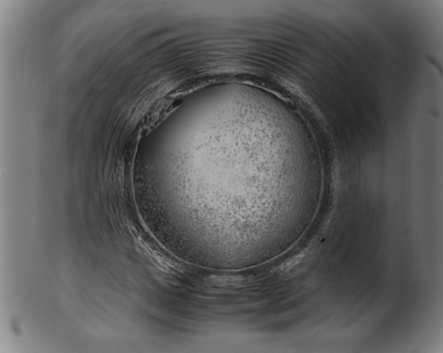 X0000099930825200806061452