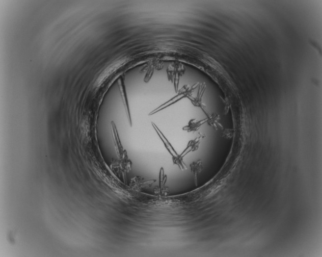 X0000099930826200806061452