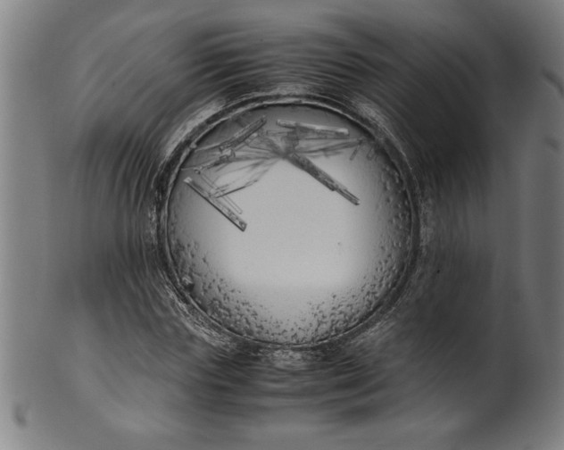 X0000099930827200806061452