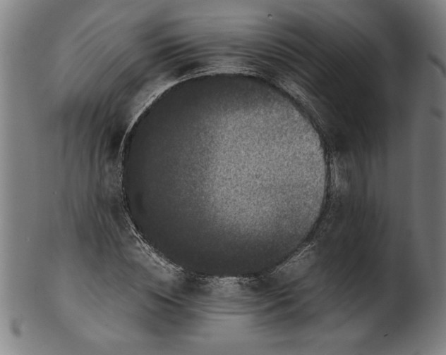 X0000099930828200806061452