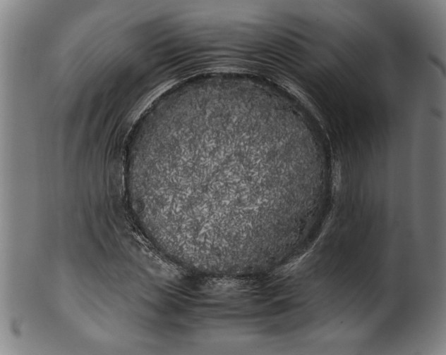 X0000099930829200806061452