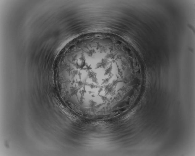 X0000099930830200806061452