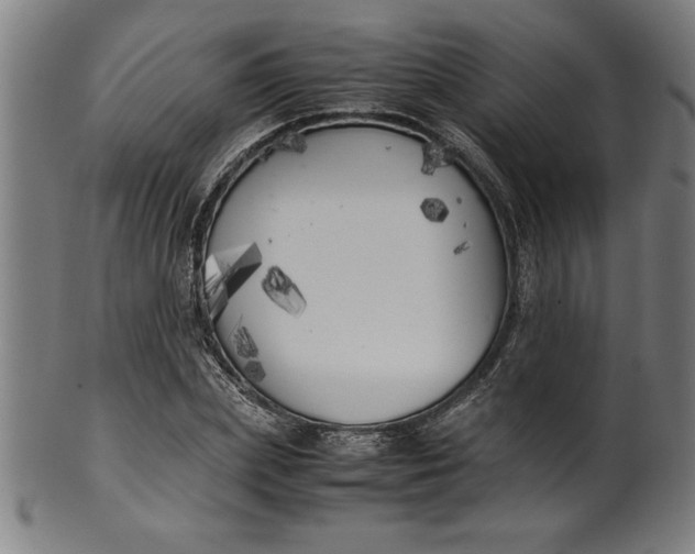 X0000099930831200806061452