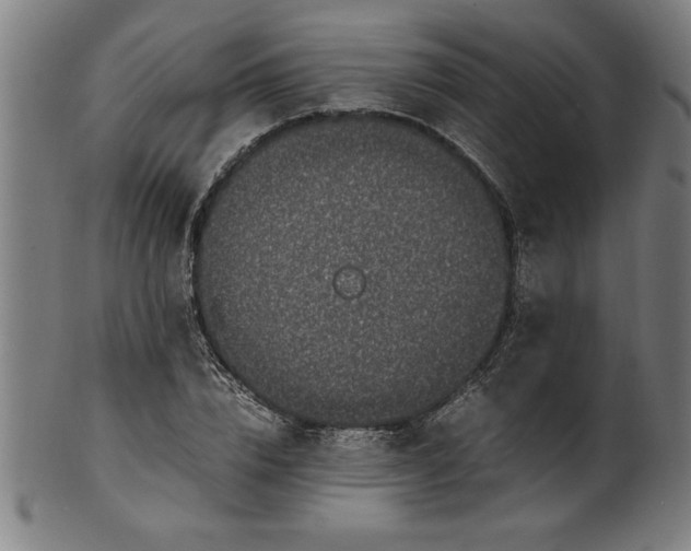 X0000099930832200806061452