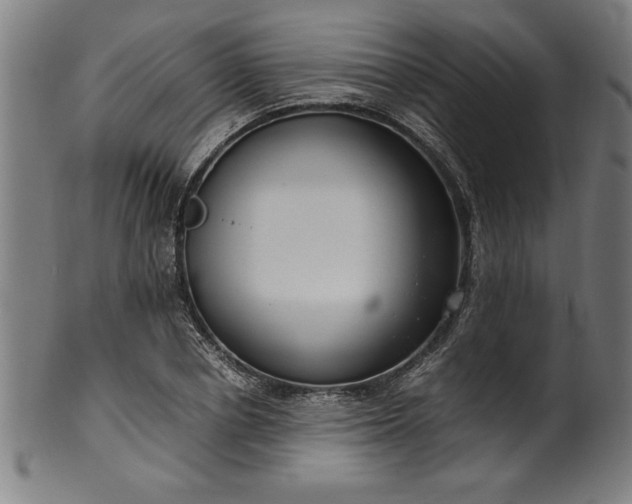 X0000099930834200806061452