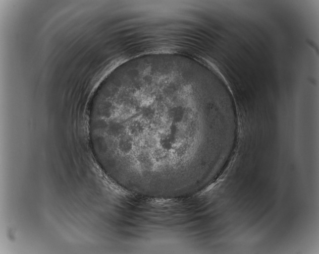 X0000099930835200806061452