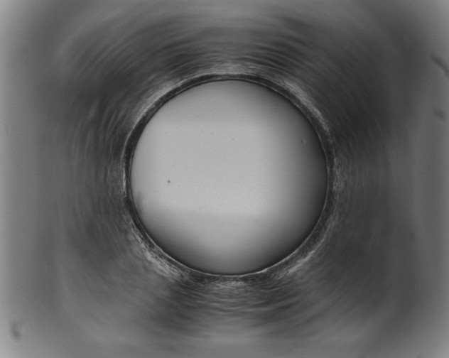 X0000099930837200806061452