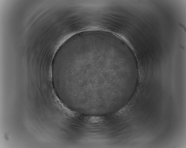 X0000099930839200806061452