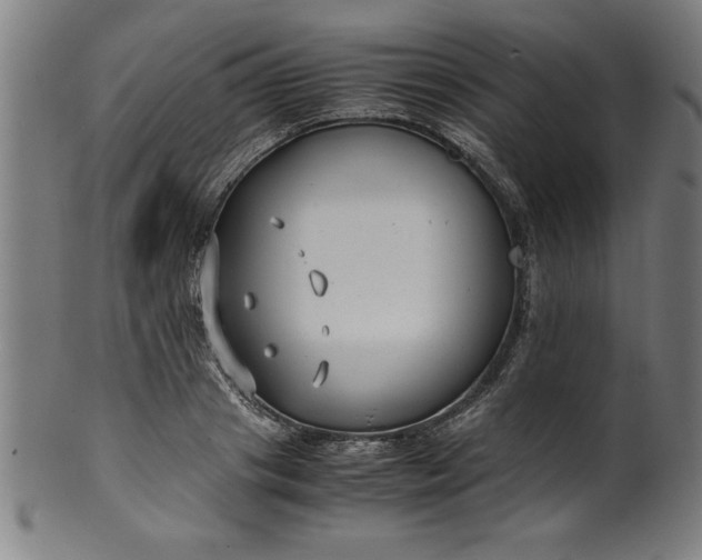 X0000099930841200806061452