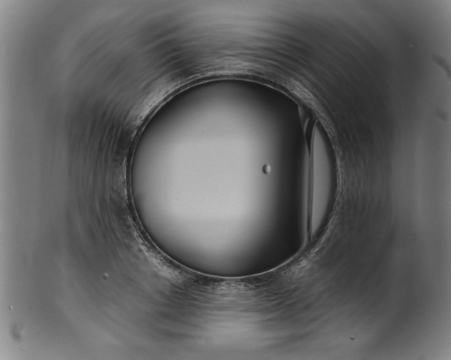 X0000099930842200806061452