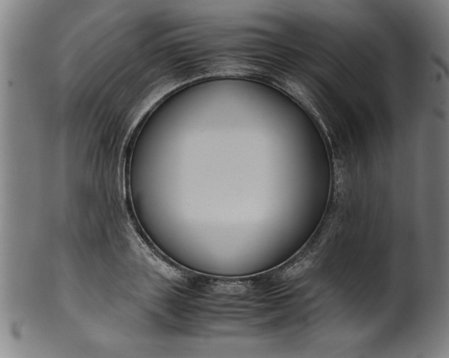 X0000099930843200806061452