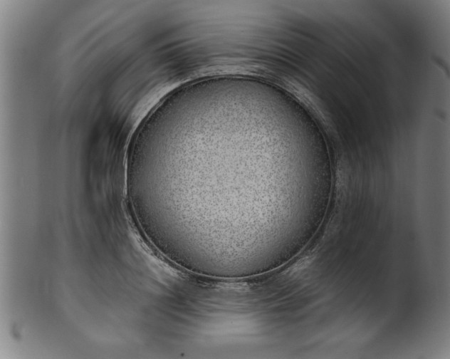 X0000099930844200806061452