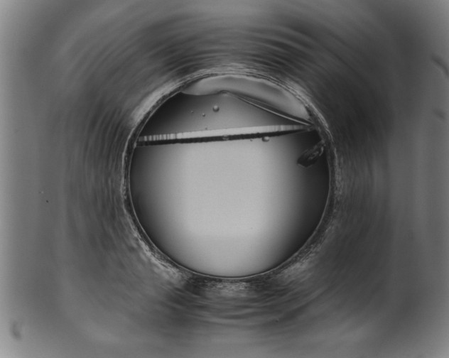 X0000099930845200806061452